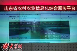 互聯網助推山東農業信息化服務邁向精準化新時代