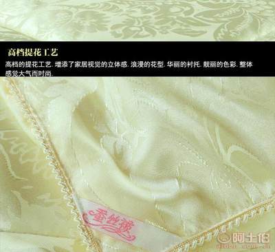 【蠶絲被100%桑蠶絲夏涼被貢緞提花加厚冬被春秋被子母被芯廠家直銷】崇川區麥倫家用紡織品廠 - 產品庫