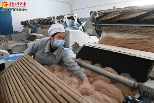 企業一線看生產丨本土駝絨產品布局13個國家